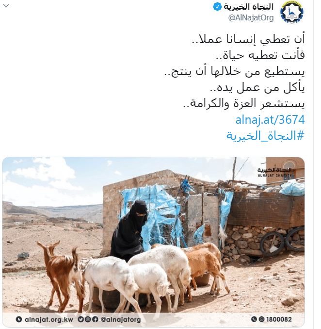 المشاريع التنموية